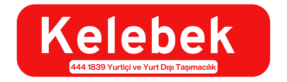 Kurtköy Evden Eve Nakliyat