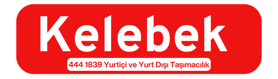 Kelebek Lojistik - Kurtköy Evden Eve Nakliyat